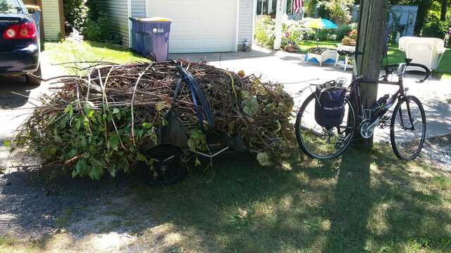 bike trailer loaded with tree trimmings